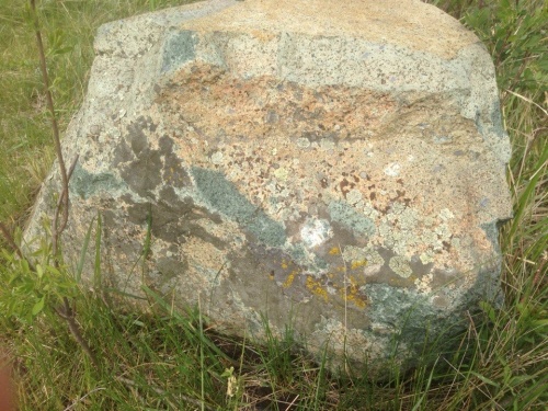 Гигантские зелёные валуны для ландшафтного дизайна весом более 5 тонн купить в Хабаровске