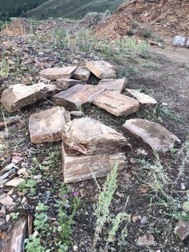 Плитняк кора дерева 50-100мм для пошаговых дорожек купить в Хабаровске